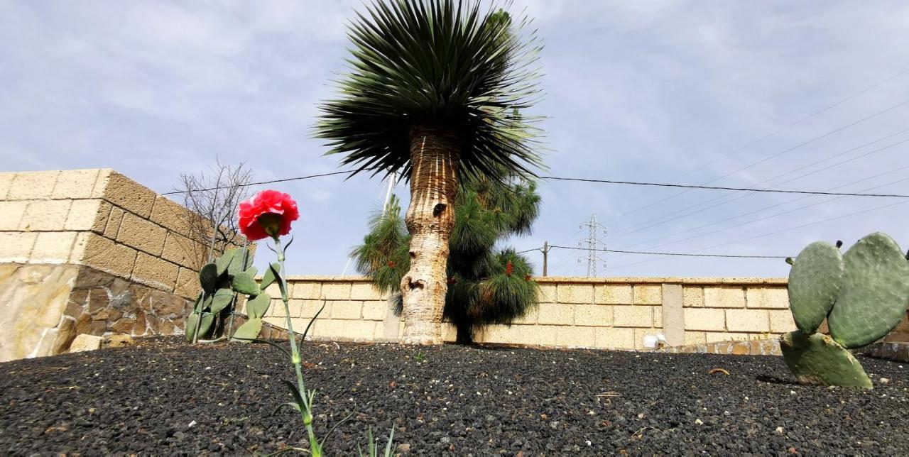 Вилла Casa Del Sur, En El Sur De Tenerife Гранадилла-де-Абона Экстерьер фото
